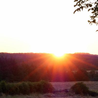 2023-06-24 aux Roches